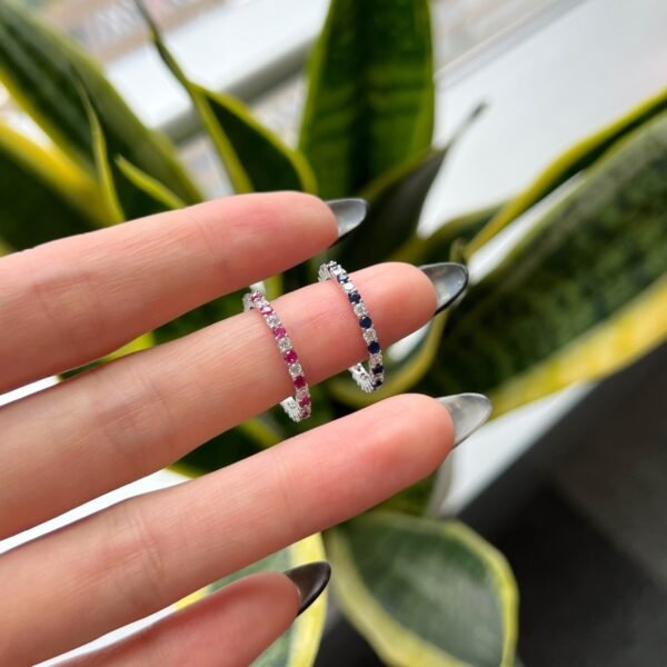 Anillo Niza