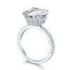 Anillo Tory